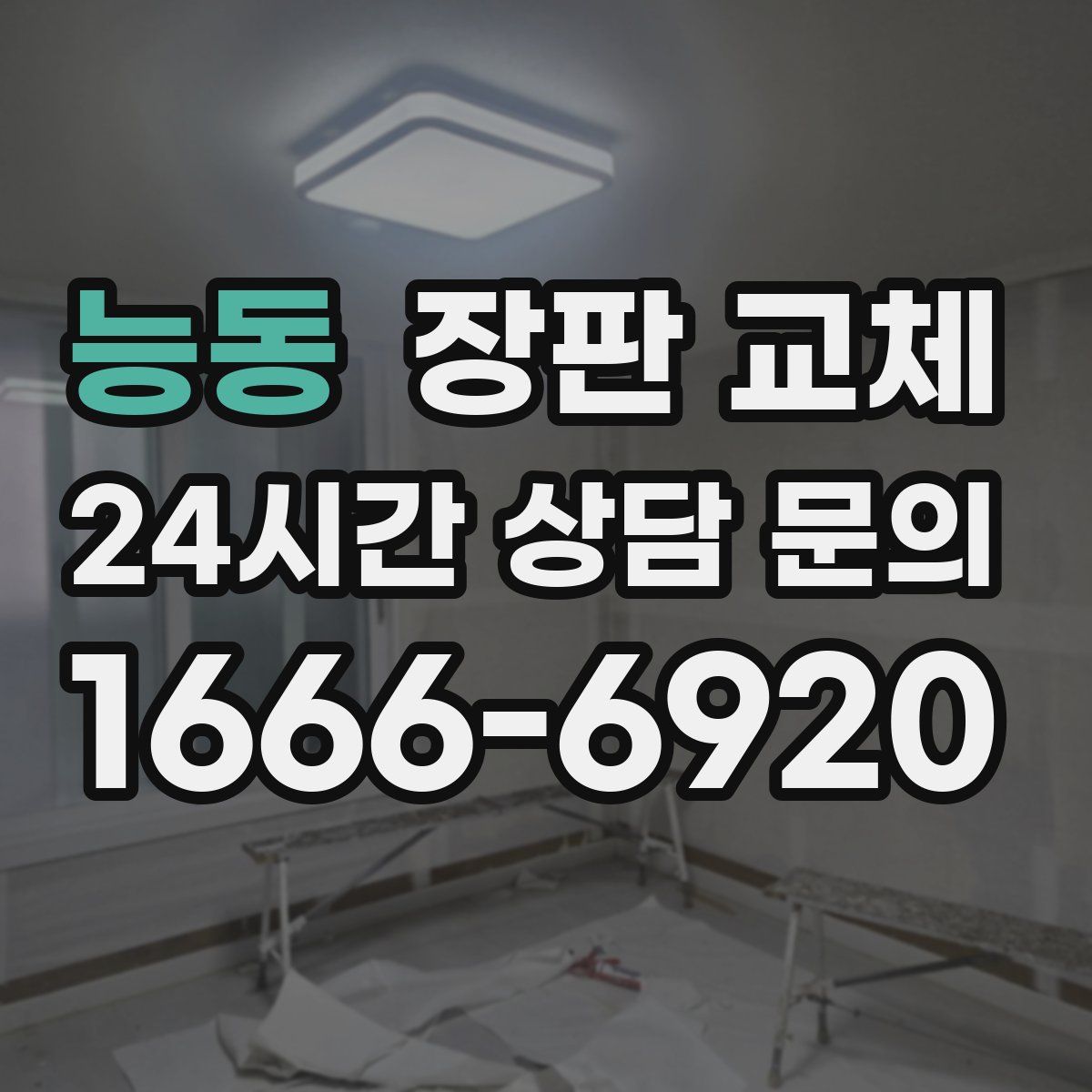 능동 장판 교체