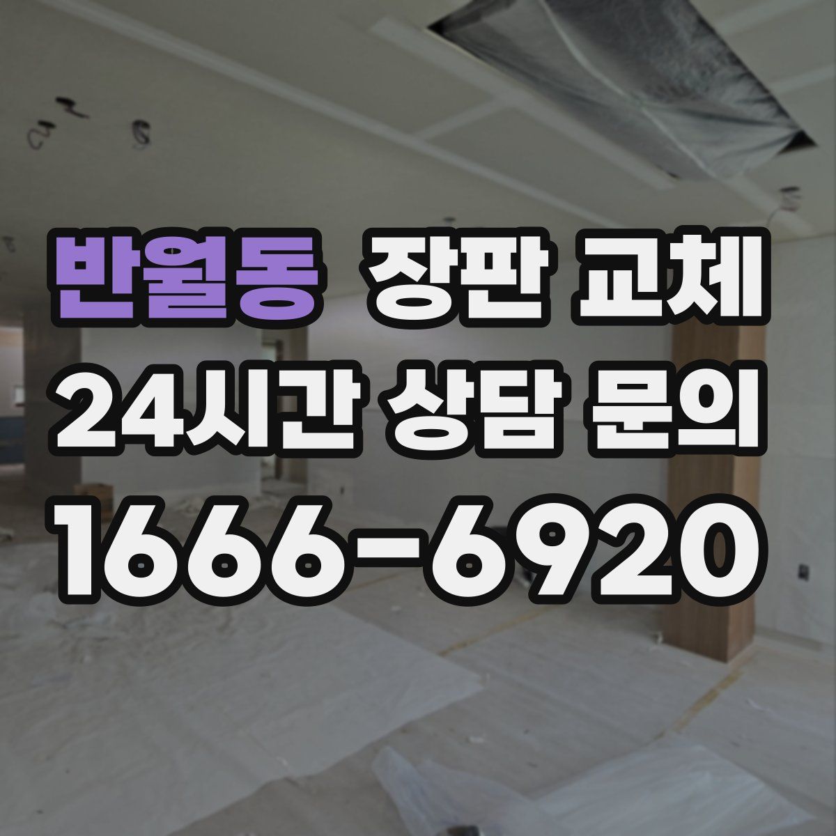 반월동 장판 교체