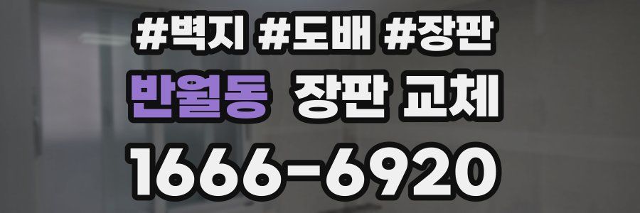 반월동 장판 교체