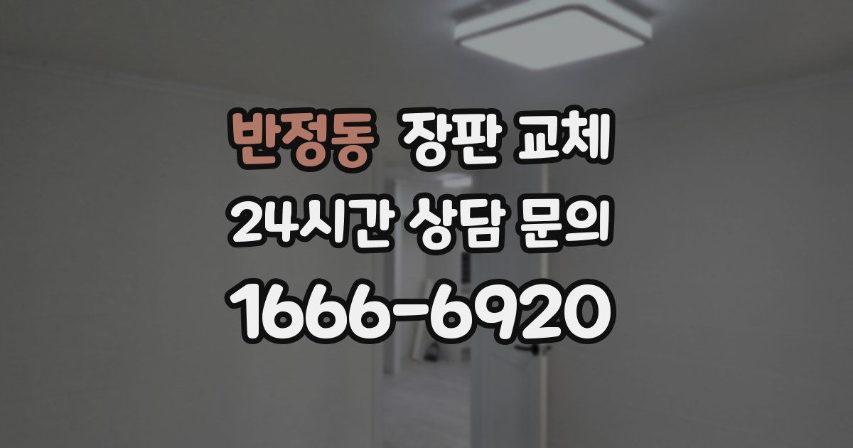 반정동 장판 교체