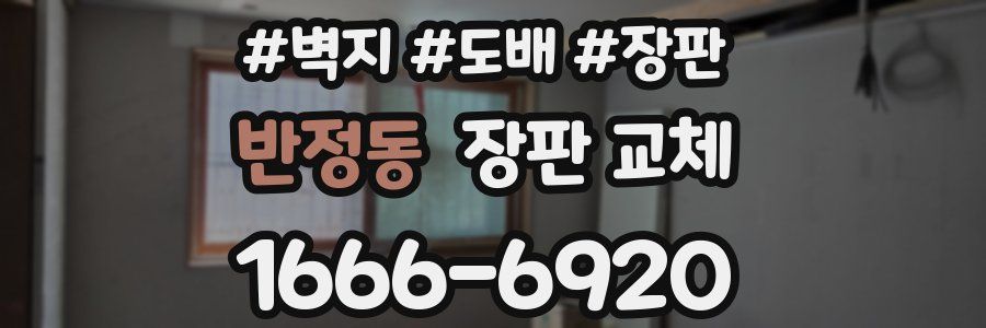반정동 장판 교체