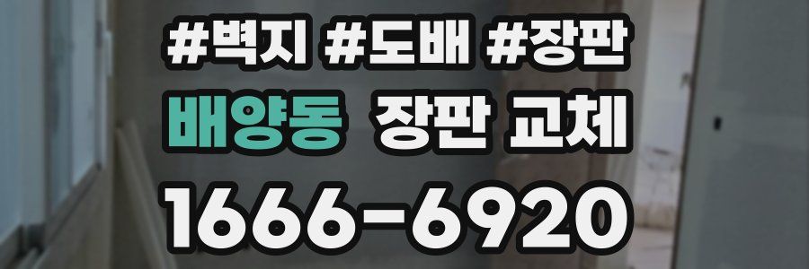 배양동 장판 교체