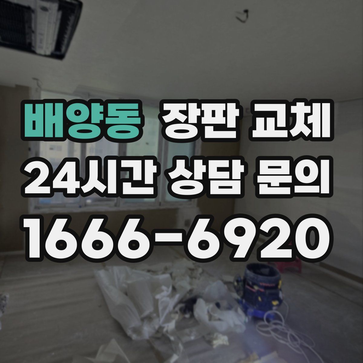 배양동 장판 교체