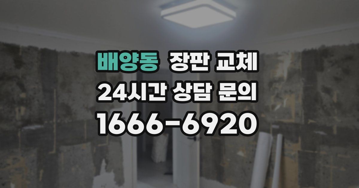 배양동 장판 교체