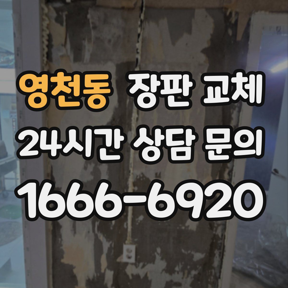 영천동 장판 교체