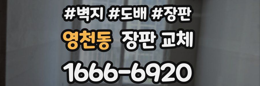 영천동 장판 교체