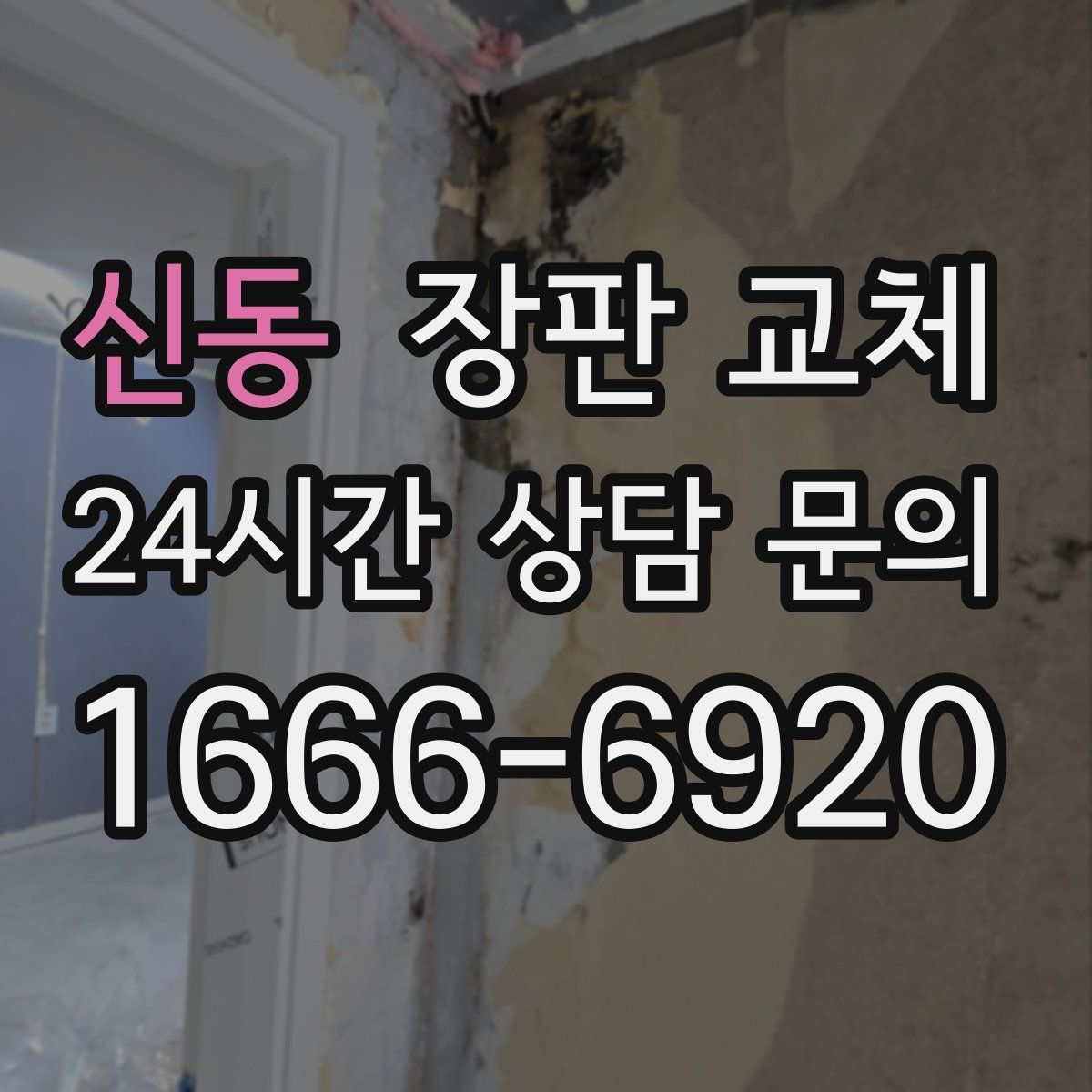 신동 장판 교체