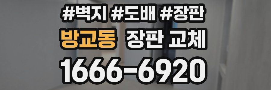 방교동 장판 교체