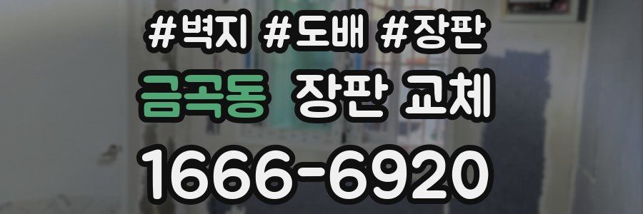 금곡동 장판 교체