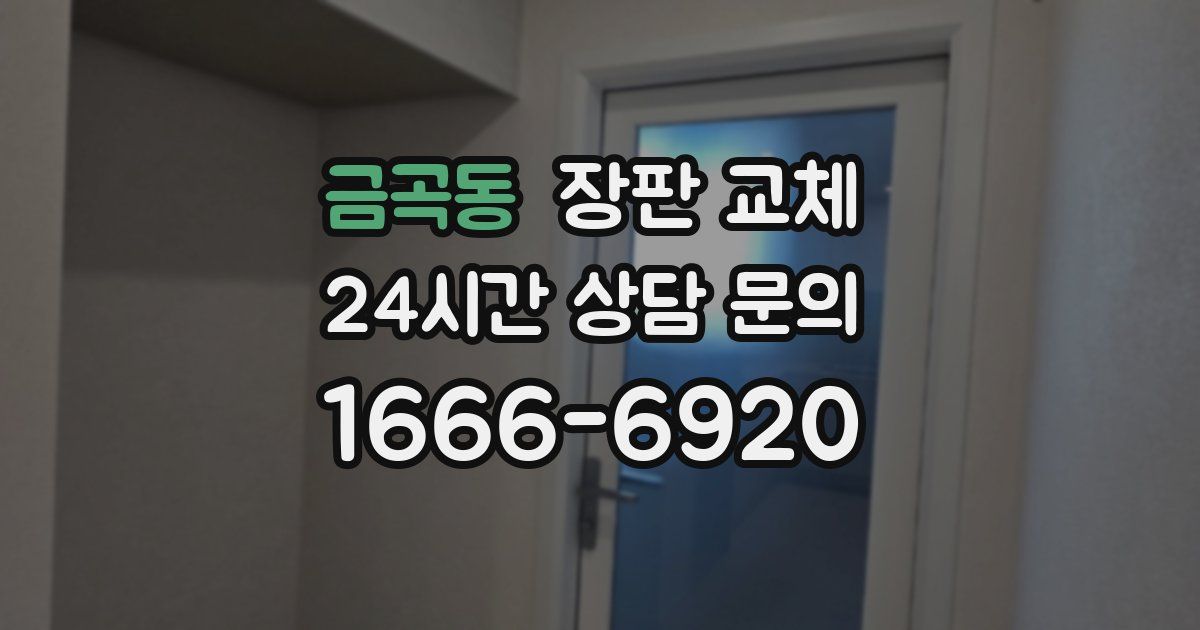 금곡동 장판 교체