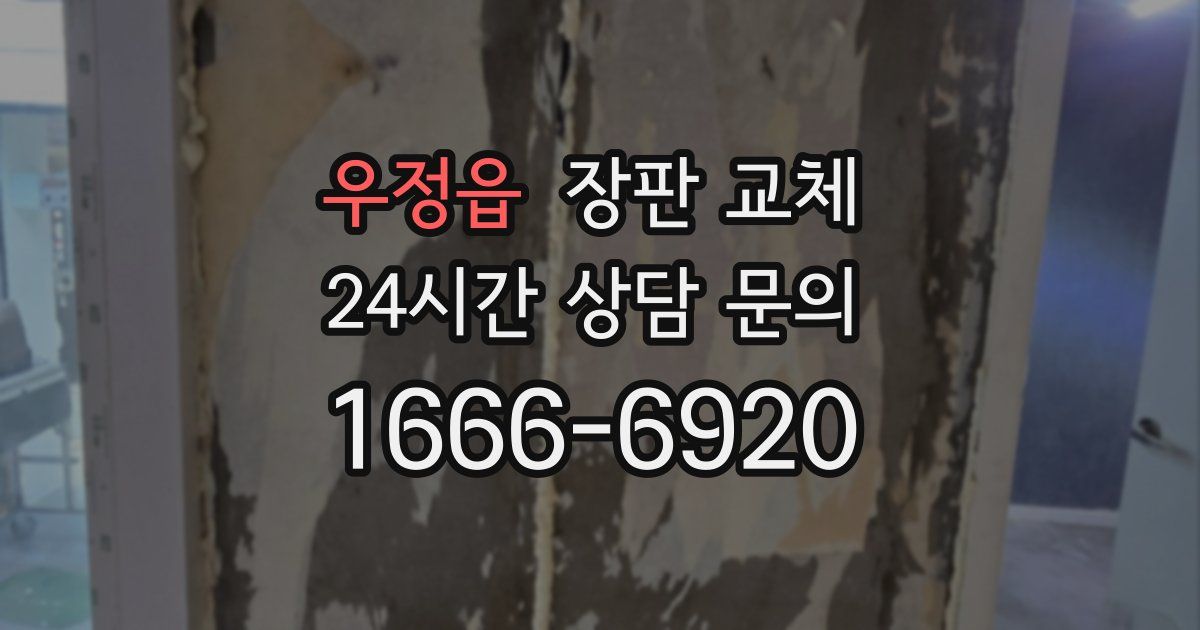 우정읍 장판 교체