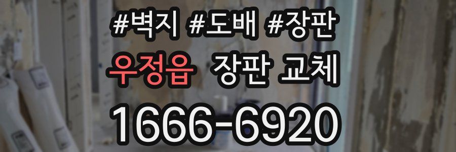 우정읍 장판 교체