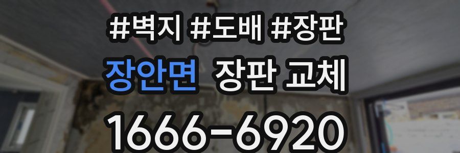 장안면 장판 교체