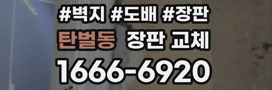 탄벌동 장판 교체