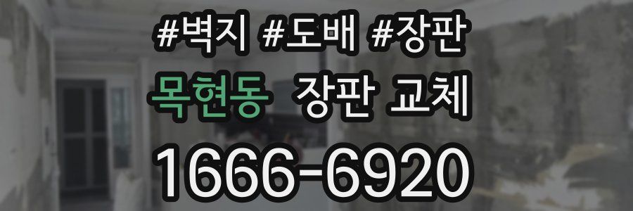 목현동 장판 교체