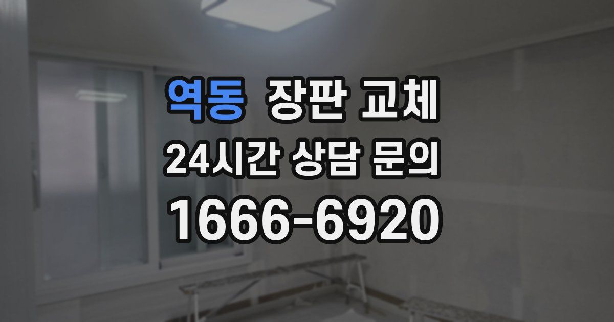 역동 장판 교체