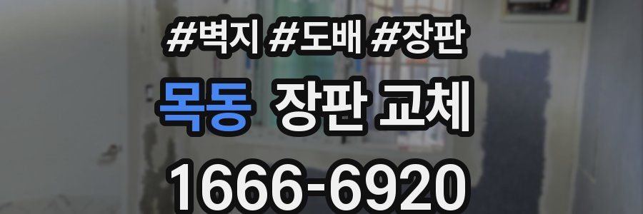 목동 장판 교체