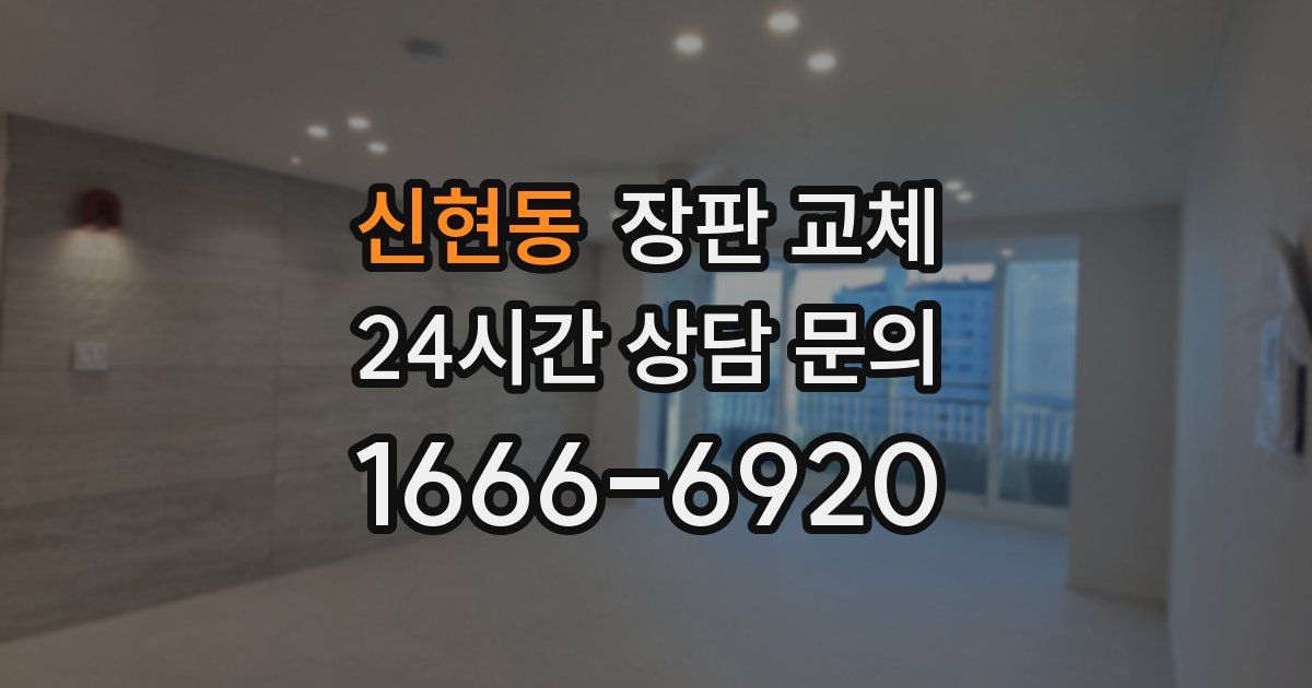 신현동 장판 교체