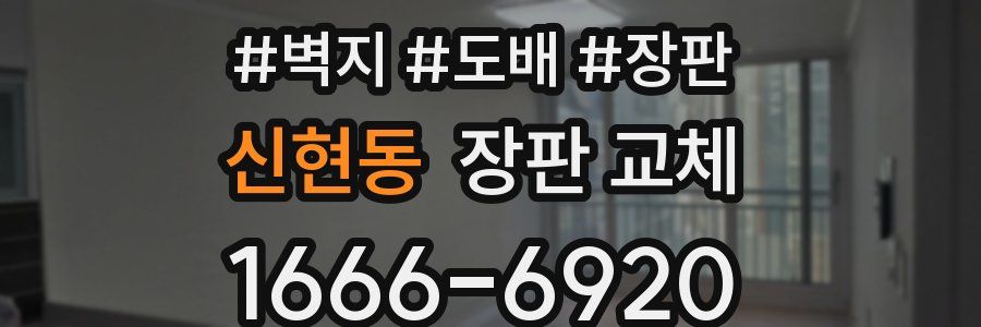 신현동 장판 교체