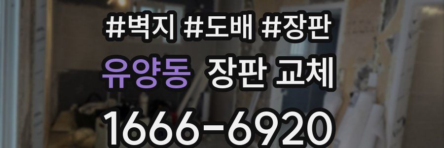 유양동 장판 교체