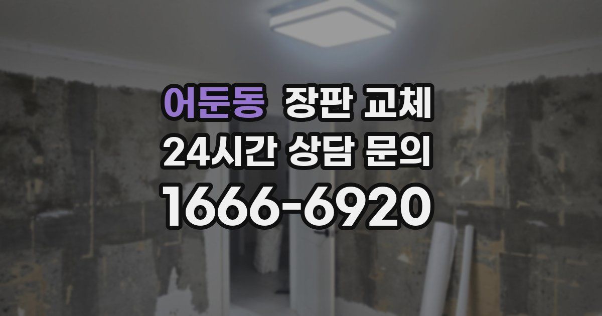 어둔동 장판 교체