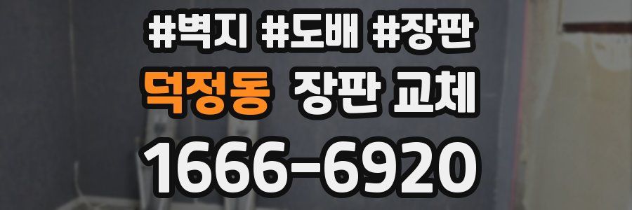 덕정동 장판 교체