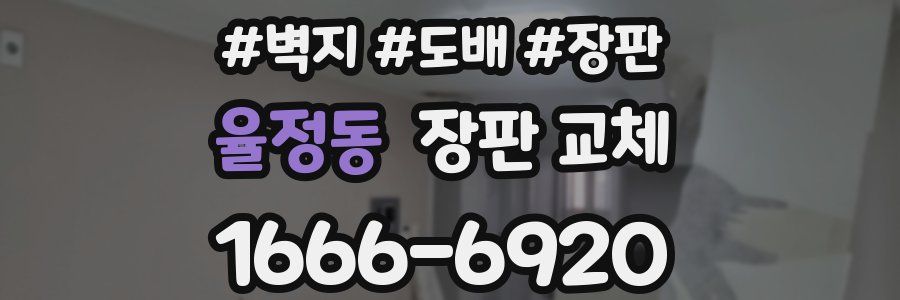 율정동 장판 교체