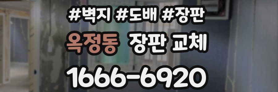 옥정동 장판 교체