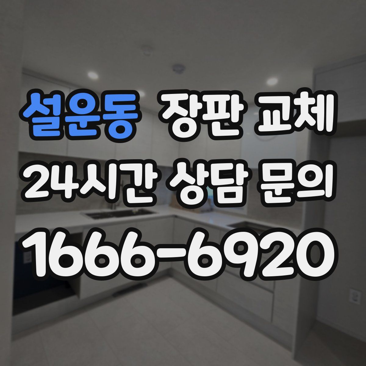 설운동 장판 교체