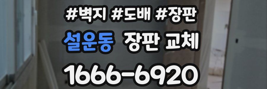 설운동 장판 교체