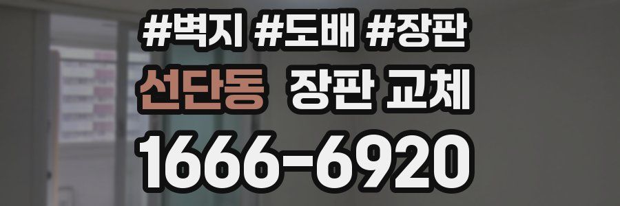 선단동 장판 교체
