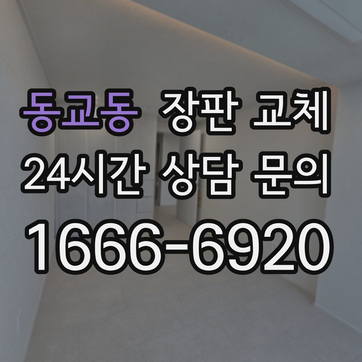 동교동 장판 교체