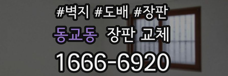 동교동 장판 교체