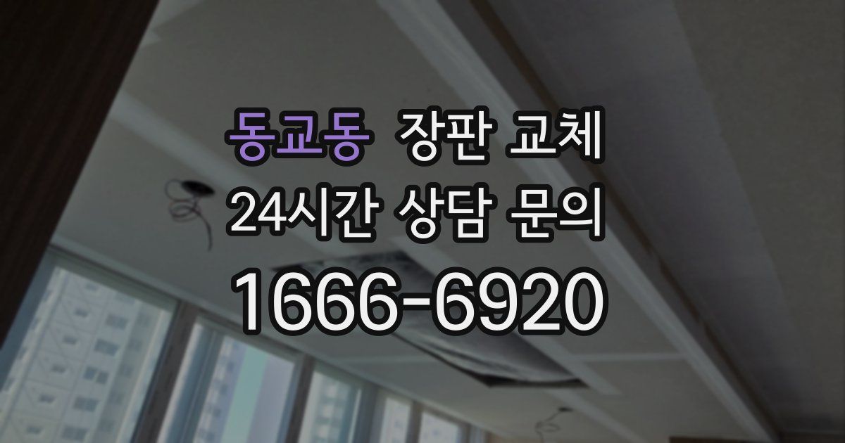 동교동 장판 교체