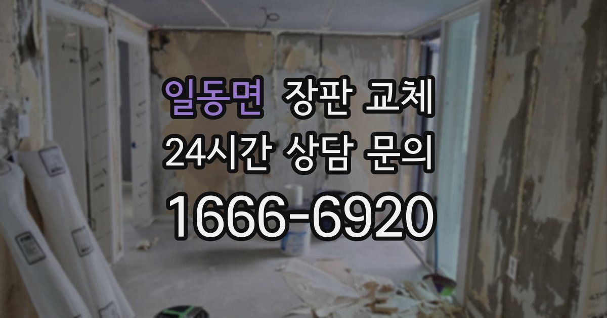 일동면 장판 교체