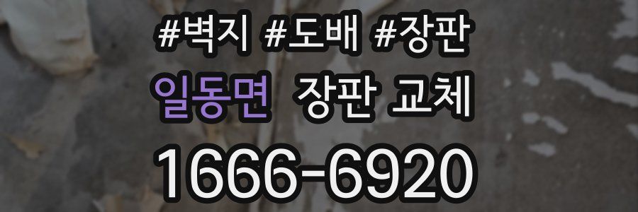 일동면 장판 교체