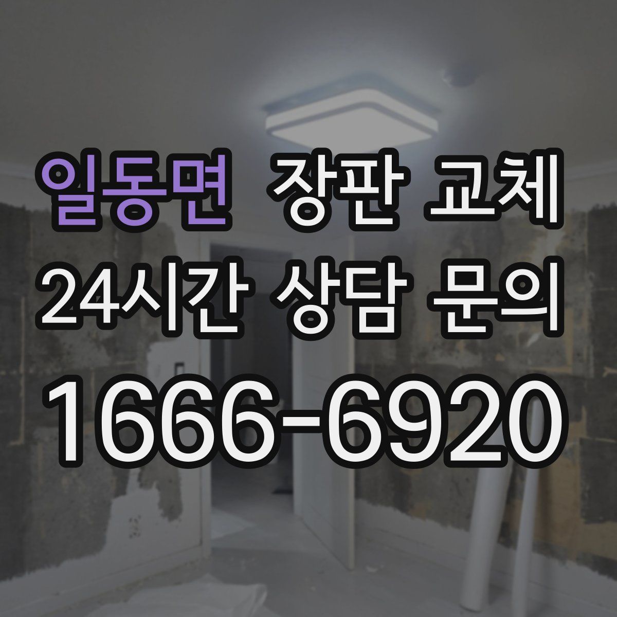 일동면 장판 교체