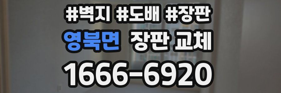 영북면 장판 교체