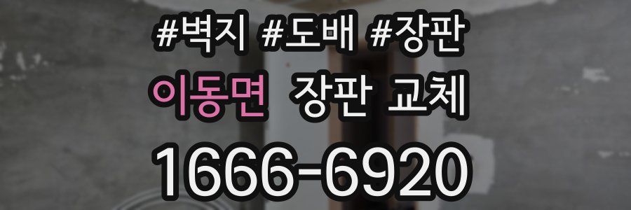 이동면 장판 교체