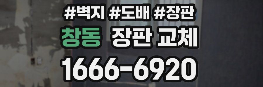 창동 장판 교체