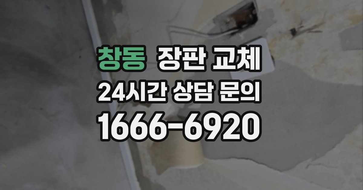 창동 장판 교체