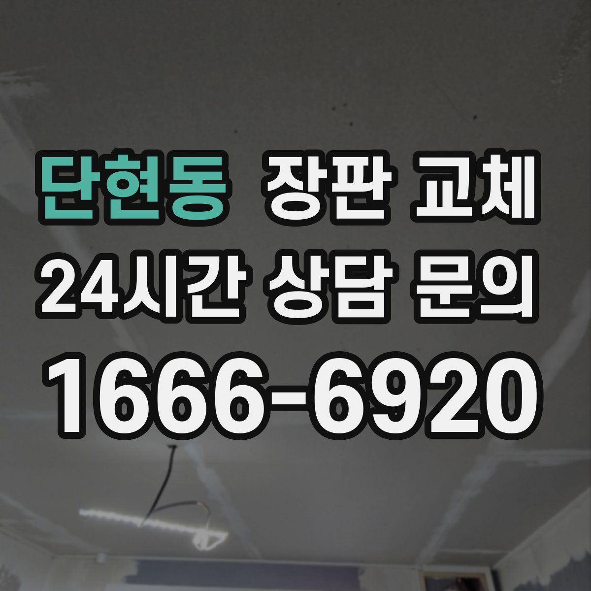 단현동 장판 교체