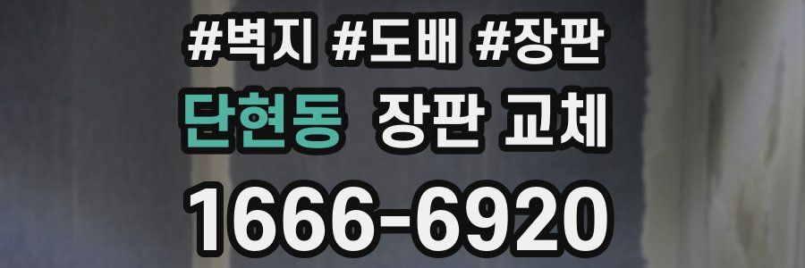 단현동 장판 교체