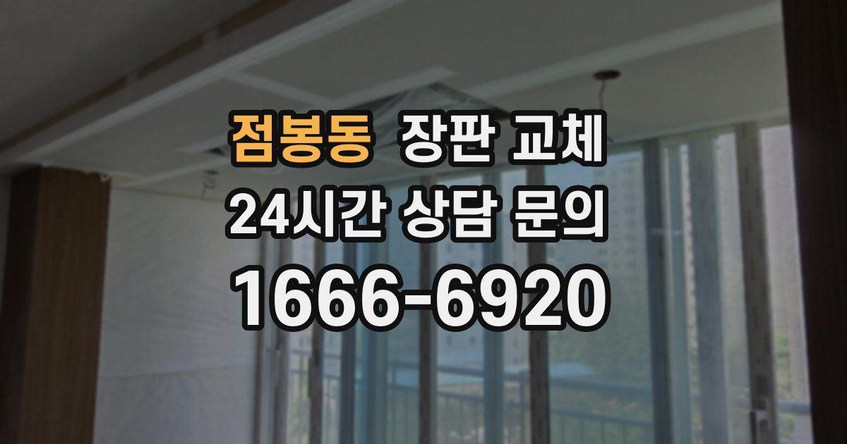 점봉동 장판 교체