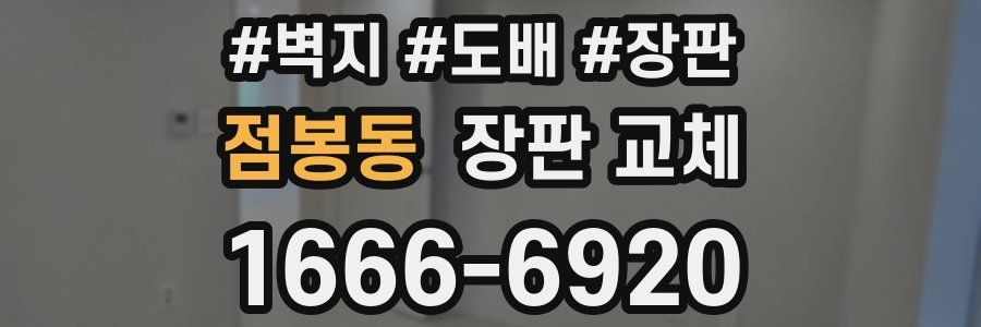 점봉동 장판 교체