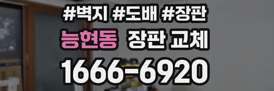 능현동 장판 교체