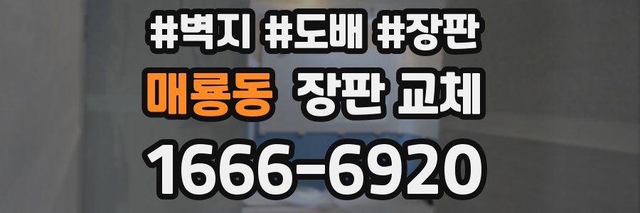 매룡동 장판 교체