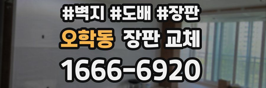 오학동 장판 교체