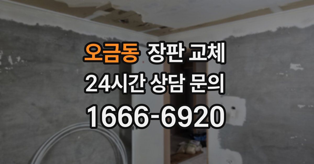 오금동 장판 교체
