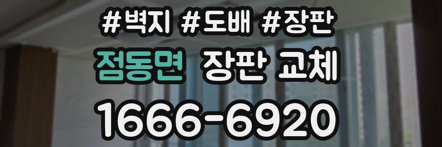 점동면 장판 교체